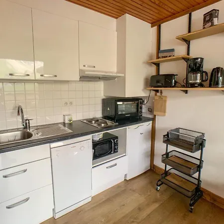 Renove Avec Balcon - Face Pistes, Commerces & Ecoles De - Fr-1-502-384 Apartment *